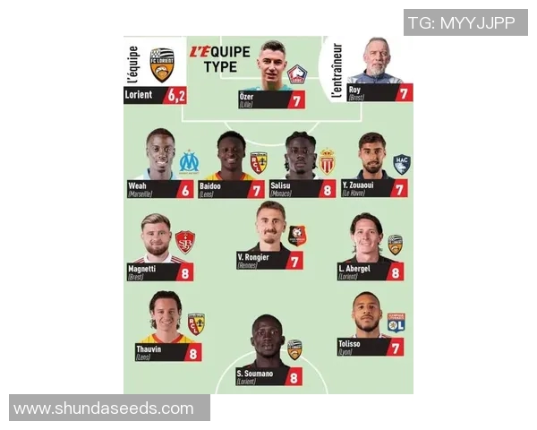 法甲积分榜最新动态及球队表现深度分析与展望