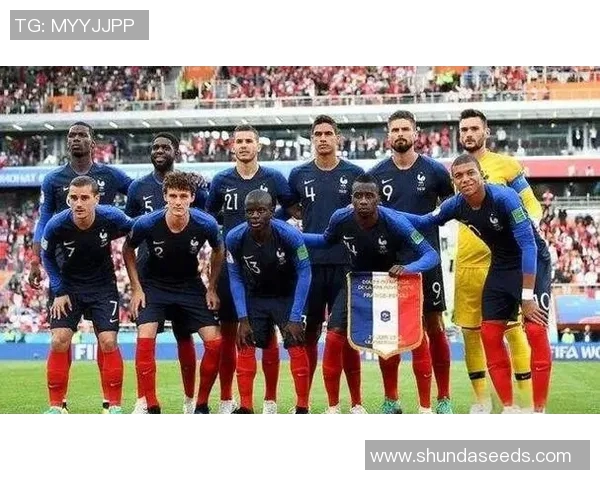 世界杯预选赛激战正酣各国球队争夺晋级名额的精彩瞬间与故事