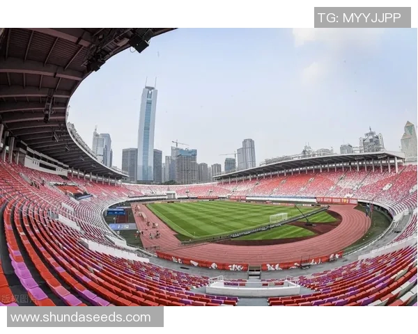 河北队转会动态分析新援引进与老将去留情况全面解读