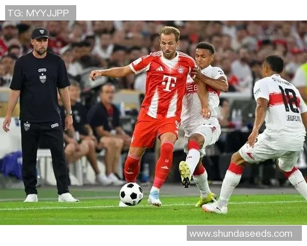 凯恩领衔拜仁对决多特全力争胜的精彩较量 凯恩领衔拜仁对决多特全力争胜的精彩较量