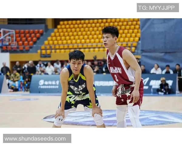 庞峥麟篮板技术解析与比赛表现的深度剖析 庞峥麟篮板技术解析与比赛表现的深度剖析