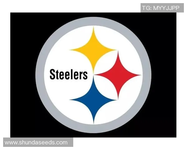 NFL季后赛外卡周末精彩赛程全解析与球队对阵分析