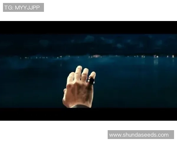 吉林九台付豪的奋斗故事与梦想追逐之旅