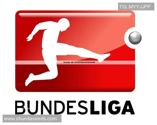 德甲比赛遭遇大雪暴，裁判决定暂停比赛