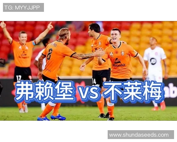 弗赖堡客场大胜不来梅,豪取3分! 弗赖堡客场大胜不来梅,豪取3分!