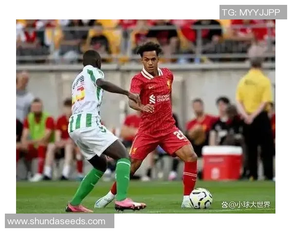 汉堡主场惨败，被沃尔夫斯堡逆袭制胜