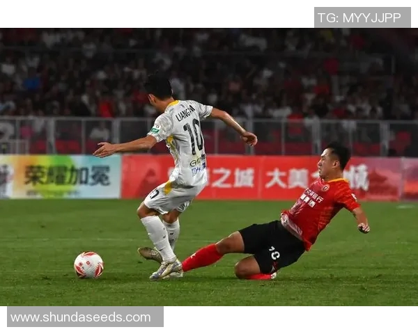 中甲裁判执法尺度探讨与分析如何提升比赛公正性和观赏性