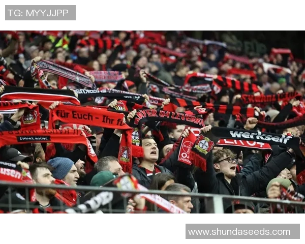 勒沃库森客战失利，汉堡主场获胜笑哈哈