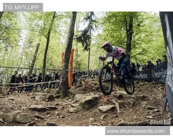 勇士队再次晋级西部半决赛:捍卫王者荣耀的征途 勇士队再次晋级西部半决赛:捍卫王者荣耀的征途