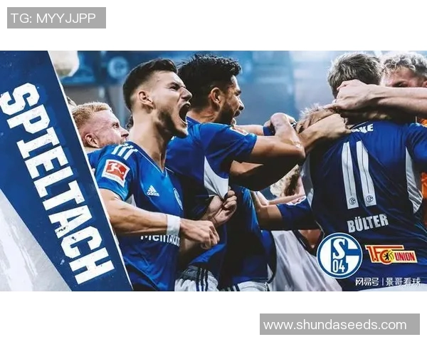 沙尔克04反弹,胜过沃尔夫斯堡,重拾士气 沙尔克04反弹,胜过沃尔夫斯堡,重拾士气