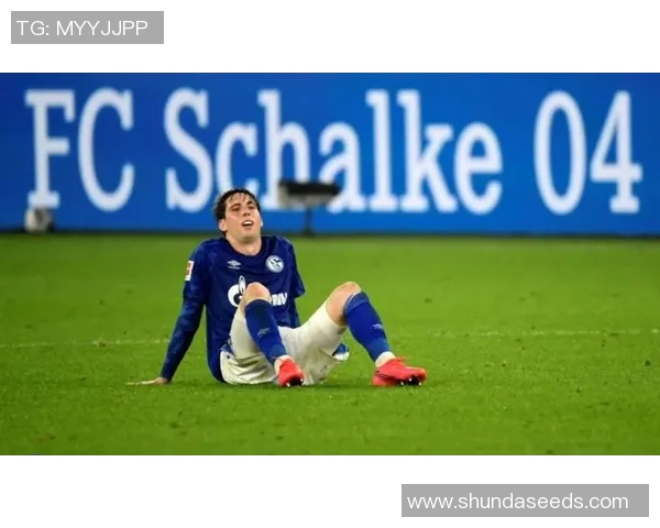 沙尔克04队德甲赛场连续不胜，遭遇严峻挑战