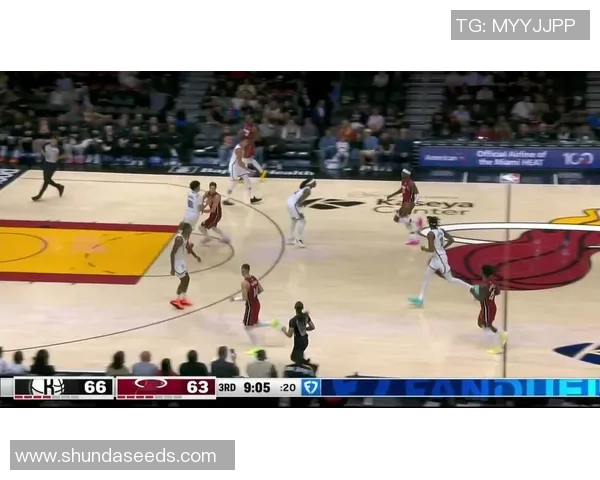 热火击败篮网，季后赛资格几近确保